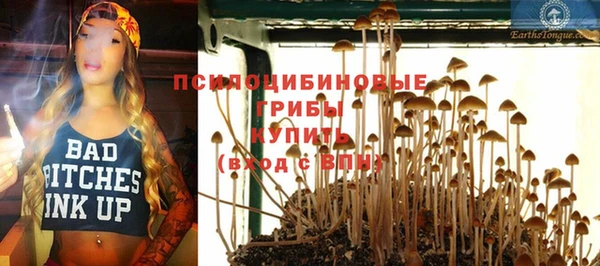 ECSTASY Белоозёрский