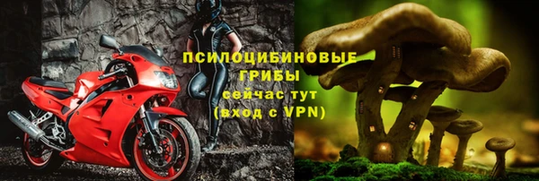 ECSTASY Белоозёрский