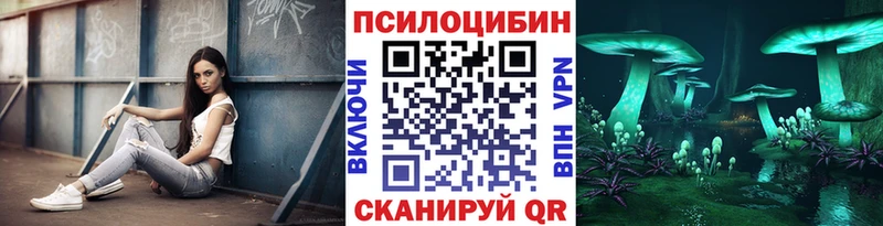 Галлюциногенные грибы Psilocybe  Городец 